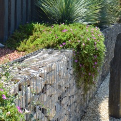 Renfort Gabion