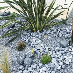 Galet de Marbre Bleu Océan