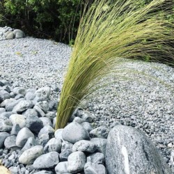 Galet de Marbre Bleu Océan