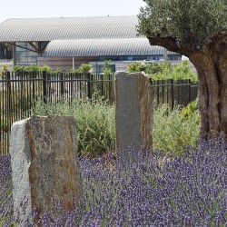 Monolithe Gneiss des Alpes