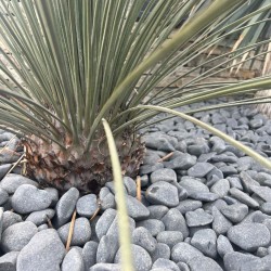 Galet Naturel Black Etna