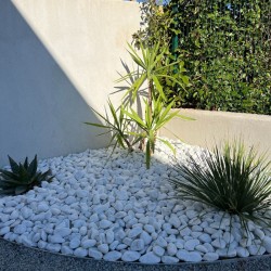 Galet de Marbre Blanc Pur