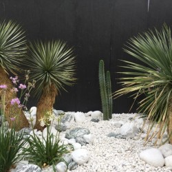 Galet de Marbre Blanc Pur