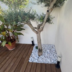 Galet de Marbre Blanc Pur