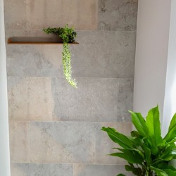 Dallage Pic Saint Loup...