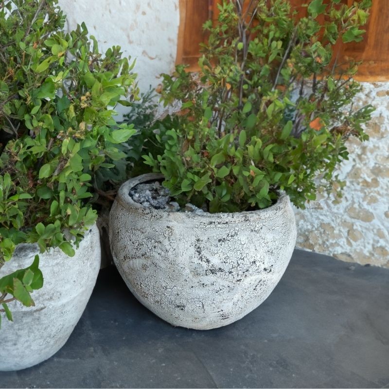 Pot Remus Cream & Black Cracking