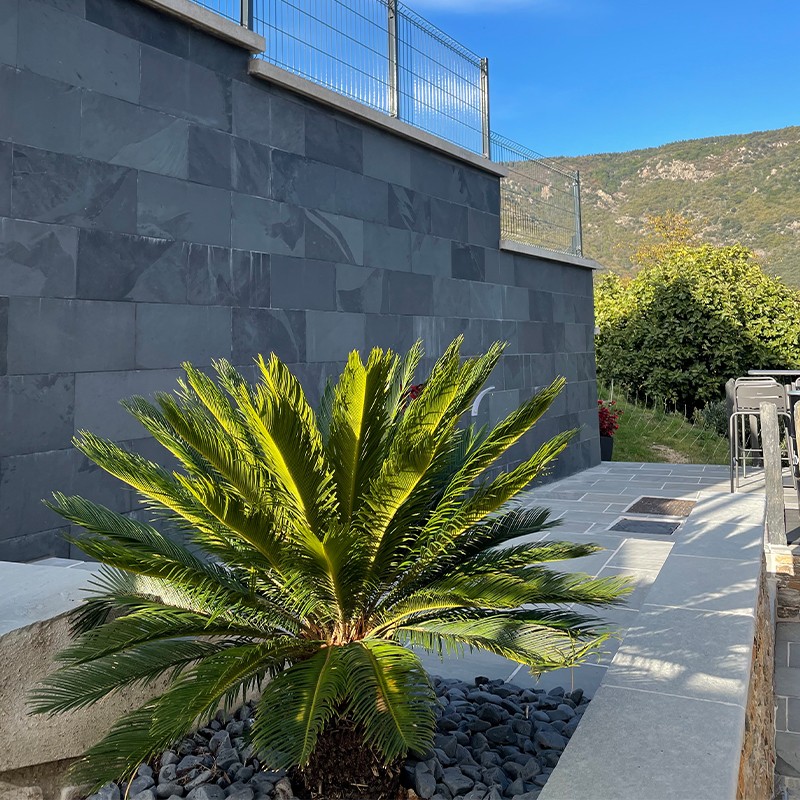 Dallage Ardoise Noire