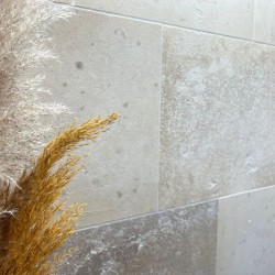 Dallage Saint Ambreuil finition brossée