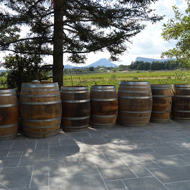 Dallage Blue Delhi finition naturelle vieillie