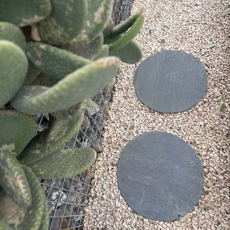 Pas Japonais Rond Ardoise Ebano Dessus Naturel