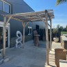 Pergola Teck Massif Naturel