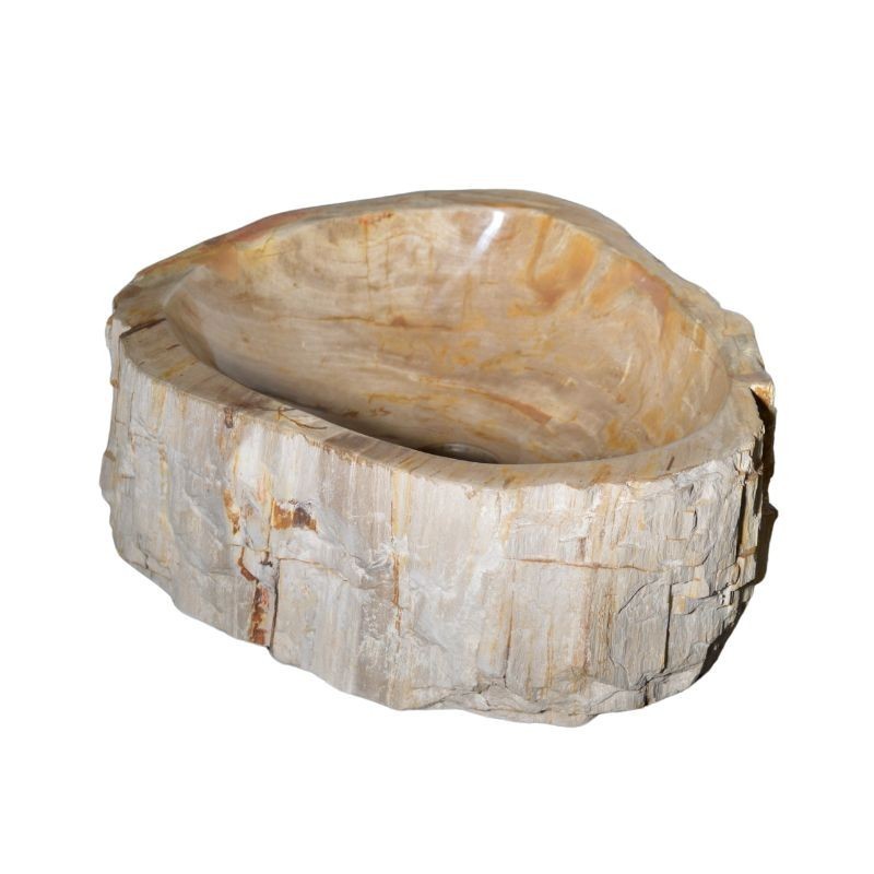 Vasque Bois Fossilisenull