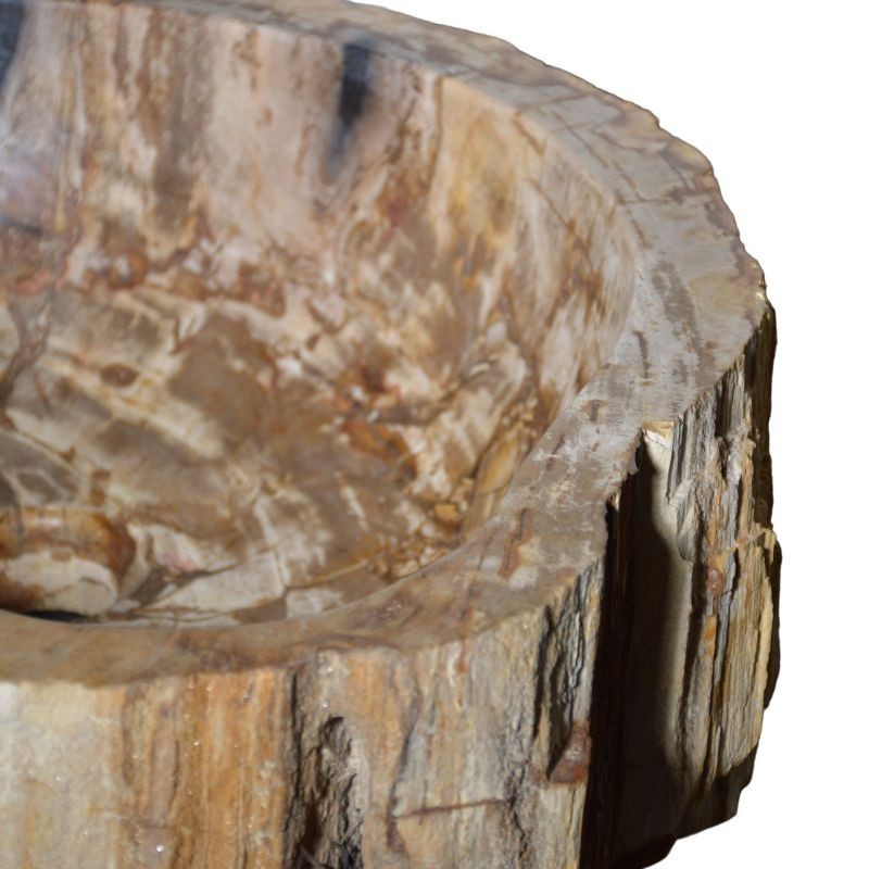 Sitemapcdatahttpsmodeinf Inetcomvasque Bois Fossilise
