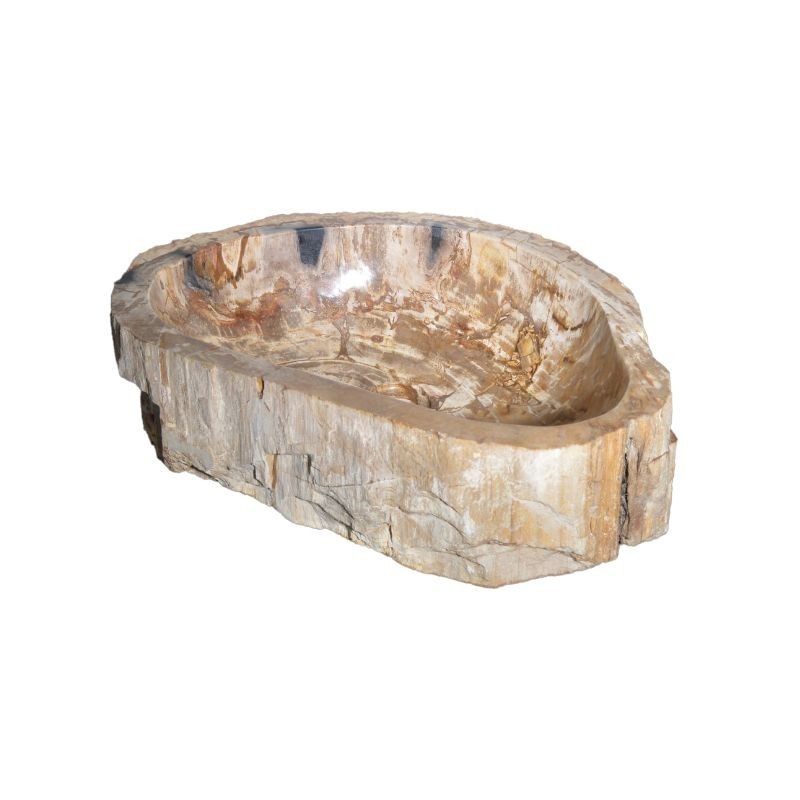Sitemapcdatahttpsmodeinf Inetcomvasque Bois Fossilise