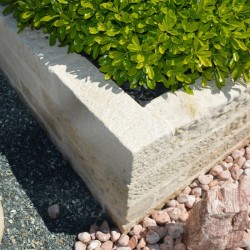 Bordure Vieux Buget Montpellier Beige