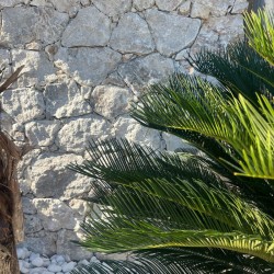 Pierre de Parement Géoperles Travertin Gevrey Silver