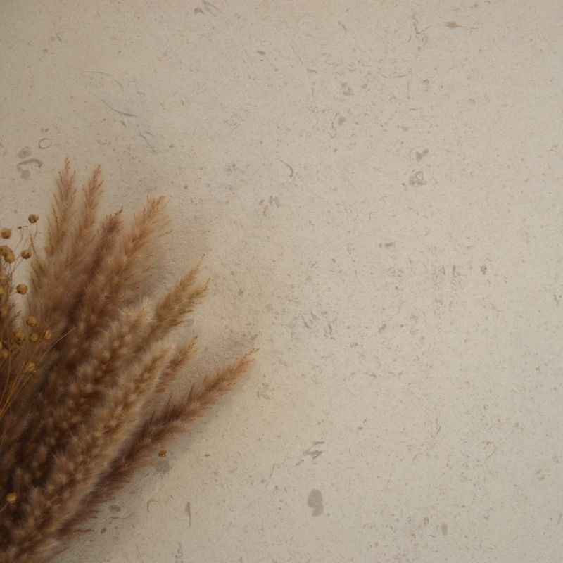 Dallage Versailles finition brossée fort