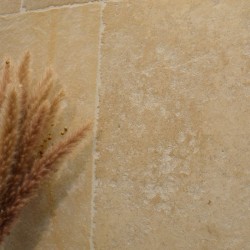 Dallage Travertin Antiquaire Vieux Rustique