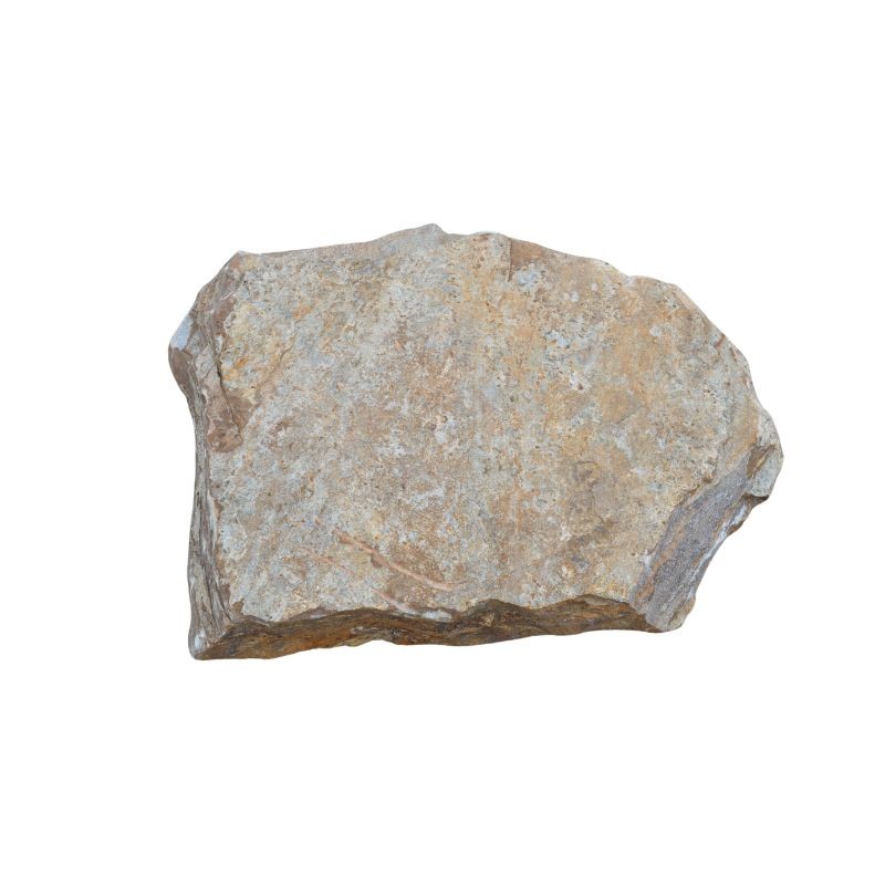 Pas Japonais Grande dalle Gneiss Madale