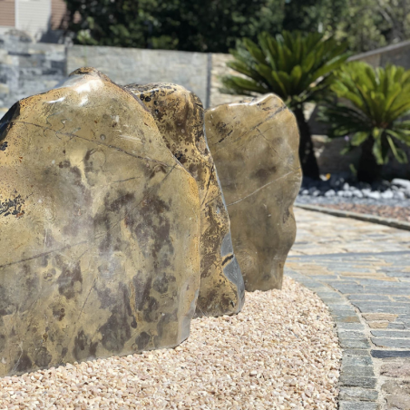 Roche Fossilisée Tanzanie