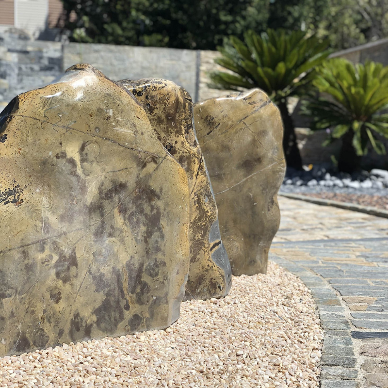 Roche Fossilisée Tanzanie