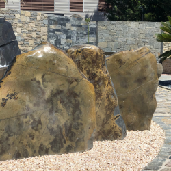 Roche Fossilisée Tanzanie