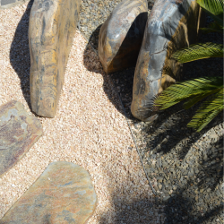 Roche Fossilisée Tanzanie