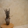 Margelle Travertin Beige Ivoire Modern Finish