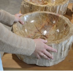 Vasque Bois Fossilisé