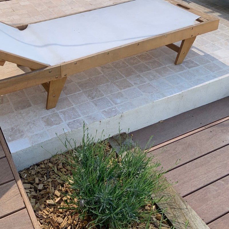 Pavés Travertin Rustic finition vieillie