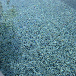 Dallage Granit Gris...