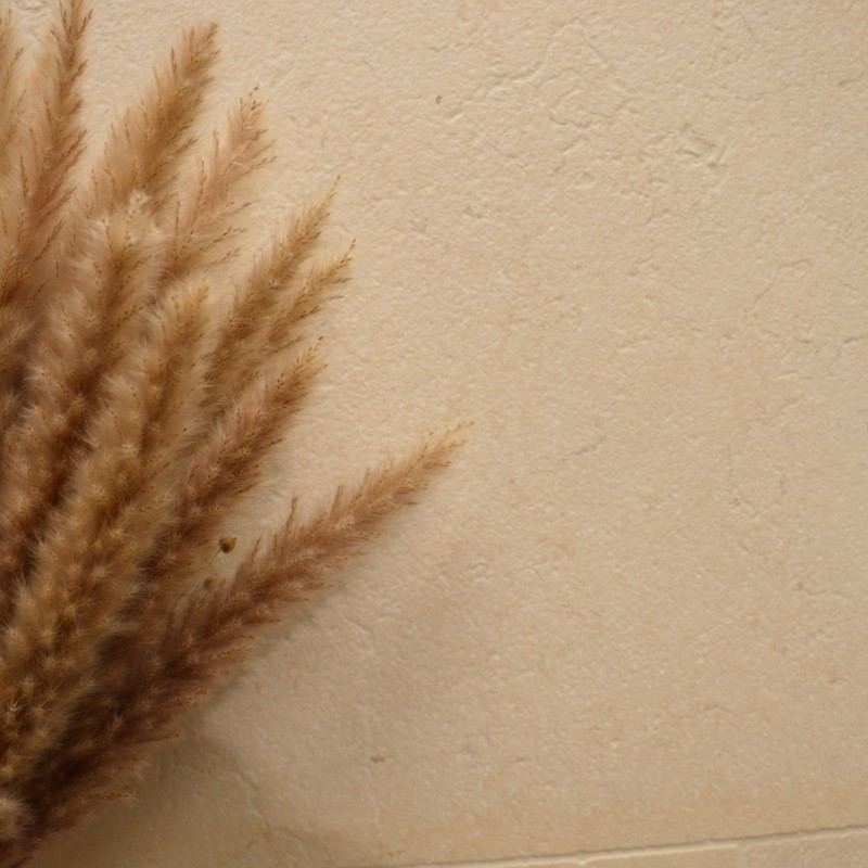 Dallage Chambord finition sablée brossée