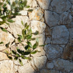 Pierre de Parement...