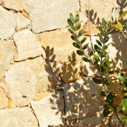 Pierre de Parement Géoperles Travertin Malaga Gold