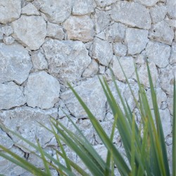 Pierre de Parement...