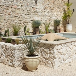 Pierre de Parement Géoperles Travertin Ivory