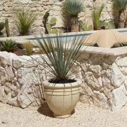 Angle Pierre de Parement Géoperles Travertin Ivory