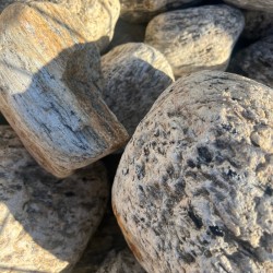 Galet Naturel Gneiss Tigre