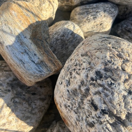 Galet Naturel Gneiss Tigre