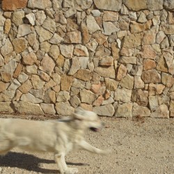 Pierre de Parement Géoperles Ibiza