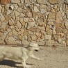 Pierre de Parement Géoperles Ibiza
