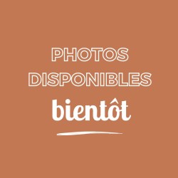 Marche Travertin Beige...