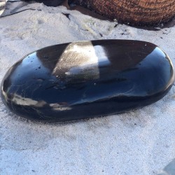 Galet Poli Géant Noir