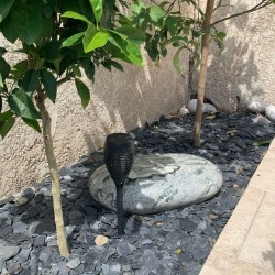 Galet Poli Géant Savanah